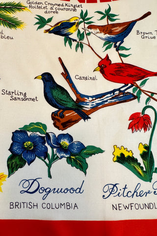 Lovely vintage souvenir scarf featuring charming illustrations of the songbirds and flower emblems of the provinces of Canada.