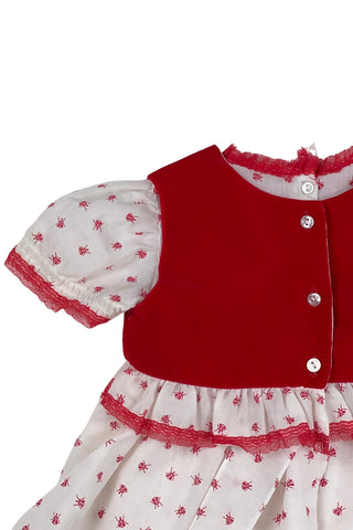 Vintage 1970s baby dress set with insect print. The set includes a dress, matching bloomers, and a red velvet vest with a peplum ruffle. The dress has short, puffed sleeves, a round neckline, and a gathered, full skirt with a back sash bow tie. The collar, cuffs, and hem are trimmed with delicate red lace. 

The dress and vest both close in the back with three pearly buttons.